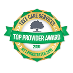 Top Provider Award